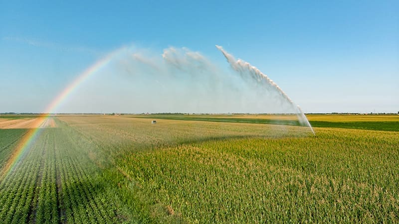 Regenboog_Beregeningssignaal_800_2