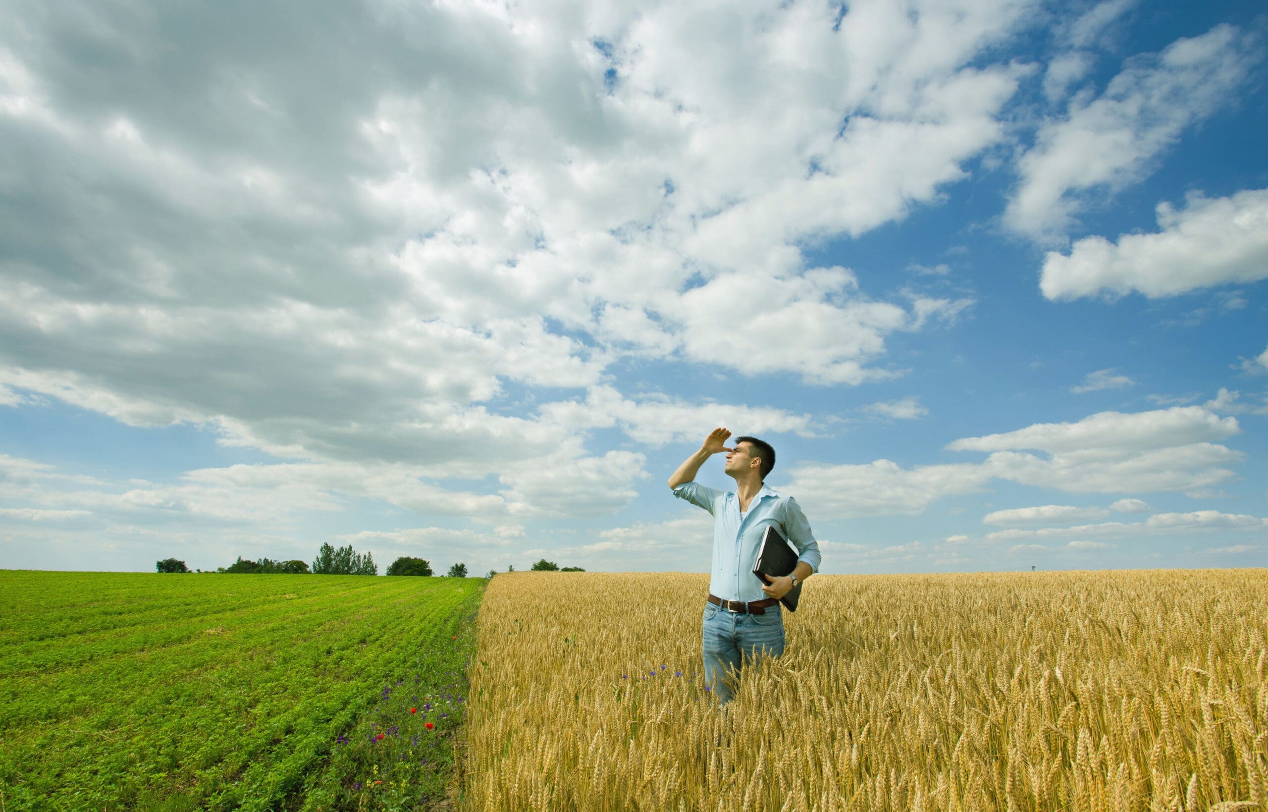 Farmer waiting for rain